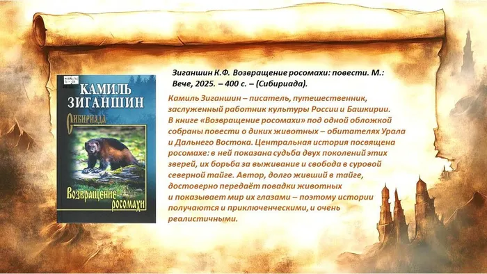 Слайд5