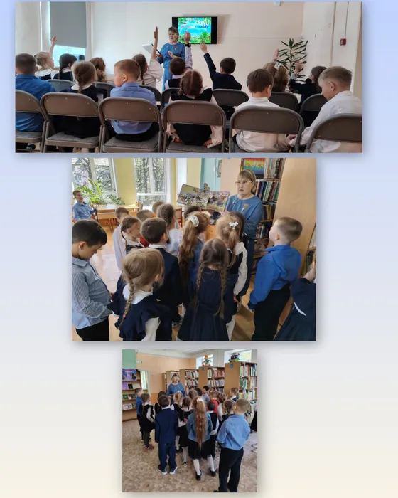 InShot_20260519_145402613