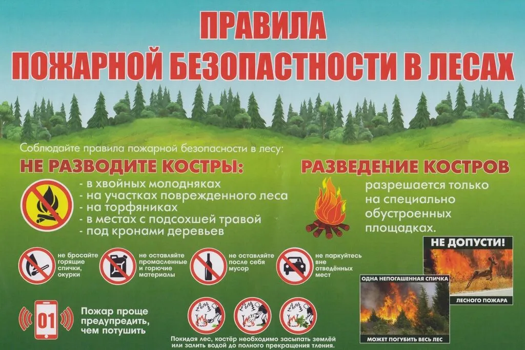 mchs-napominaet-soblyudayte-pravila-pozharnoy-bezopasnosti-v-lesah_16608989291014541829__2000x2000